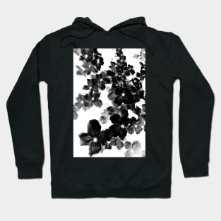 Designer 103365 x37 Hoodie